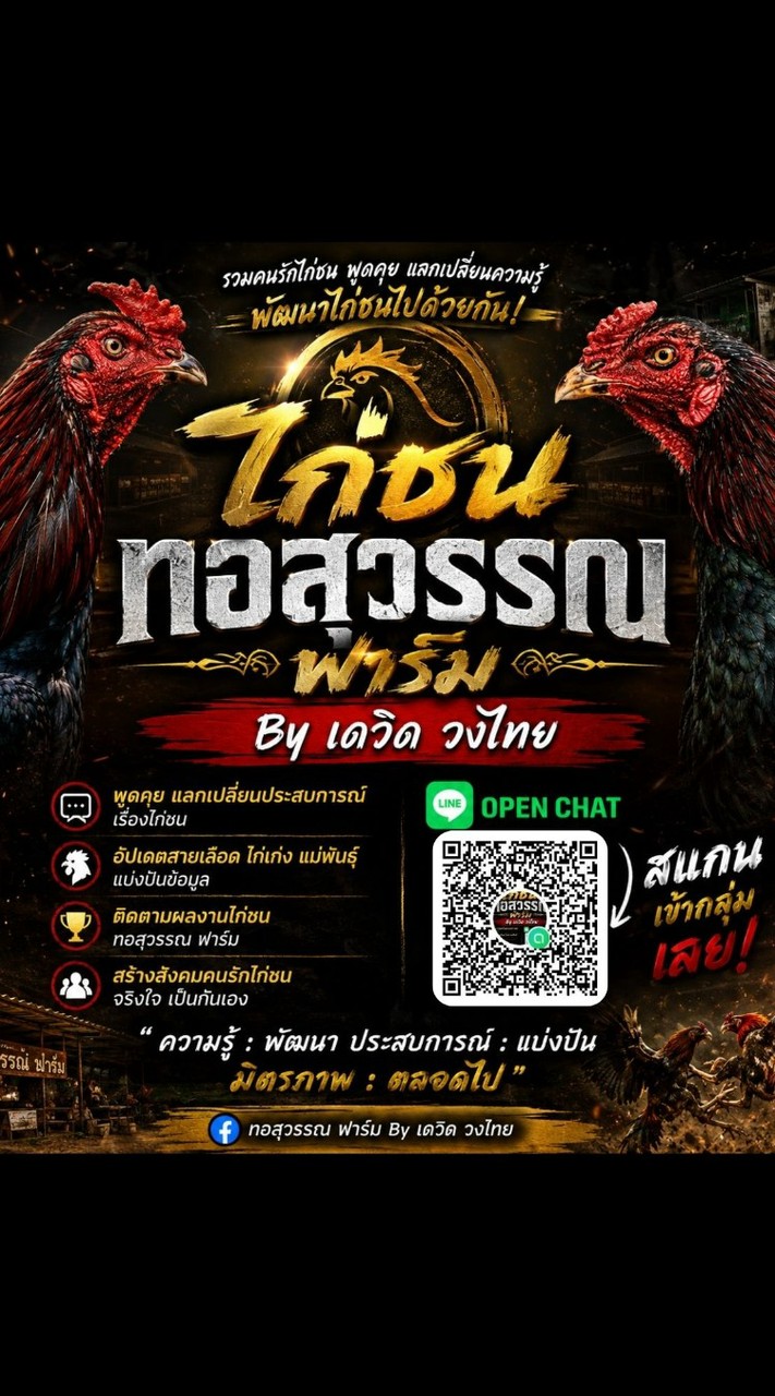 ไก่ชนทอสุวรรณ ฟาร์ม By เดวิด วงไทย