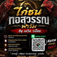 ไก่ชนทอสุวรรณ ฟาร์ม By เดวิด วงไทย