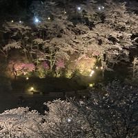 ☆スマブラの会☆初心者、未VIP大歓迎‼︎