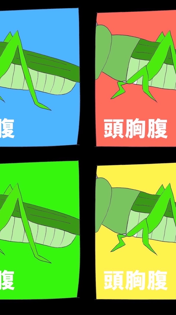 【Project】夢見るウーパールーパー