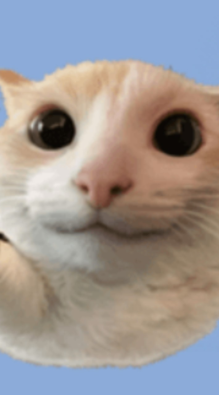 ว่าง