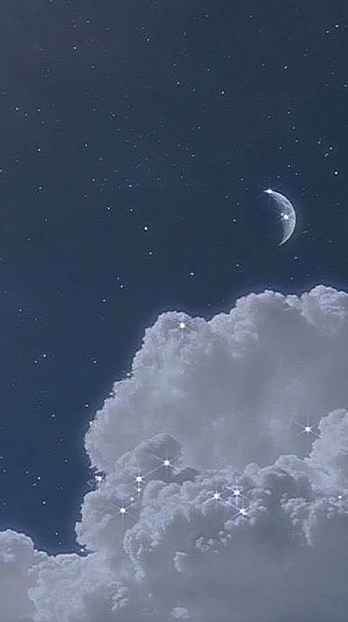 なーちゃんの日常