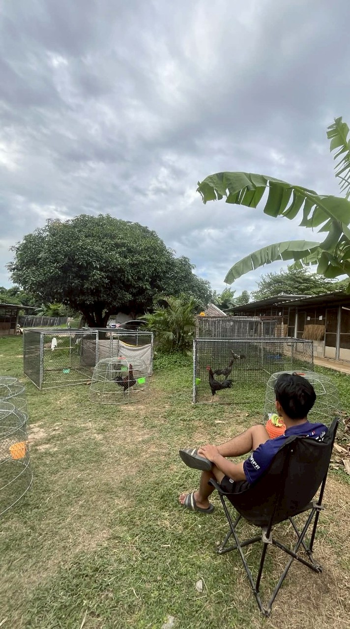 สำโรง ฟาร์ม