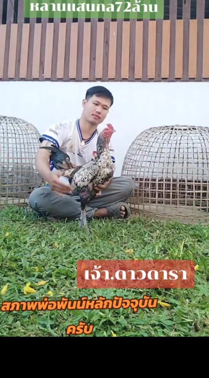 KF ฟาร์ม