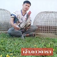 KF ฟาร์ม