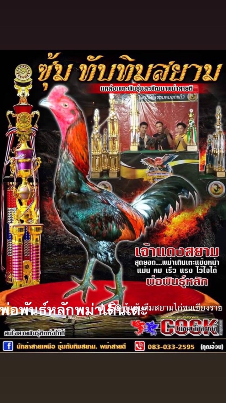 ซุ้มทับทิมสยามพม่าดินเตะ