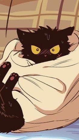 บ้าน แมวกุย😼