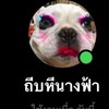 ส่งคริป สังกัดถีบหีนางฟ้า.