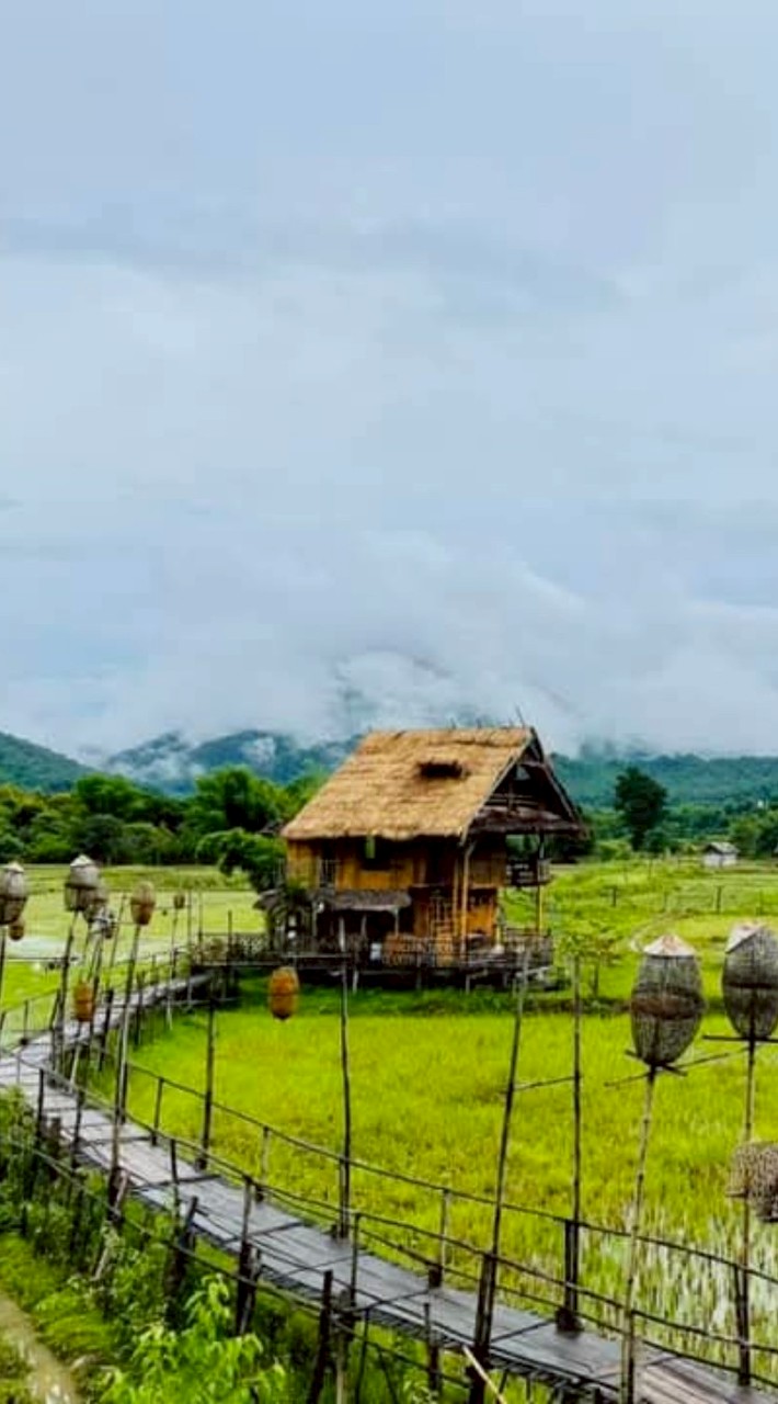 เชียงดาวแอ่วไหนดี