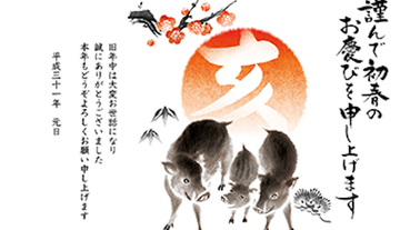 你發現了嗎？日本的豬年和台灣的豬年有什麼不一樣！？