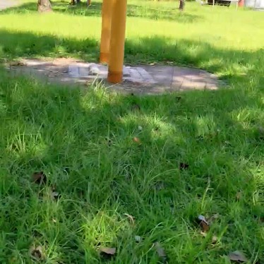 小野公園のundefinedに実際訪問訪問したユーザーunknownさんが新しく投稿した新着口コミの写真