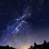 正直言って、なんでもいい