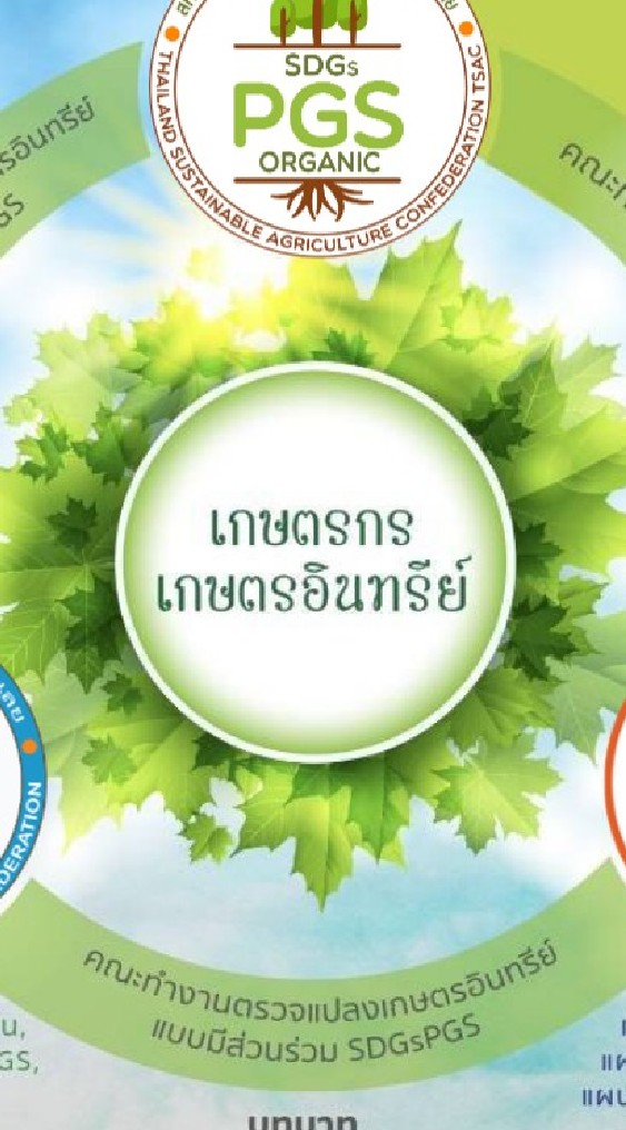 เกษตรอินทรีย์เมืองเลย