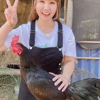 ซุ้ม ไก่ชน อ.อธิป ฟาร์ม