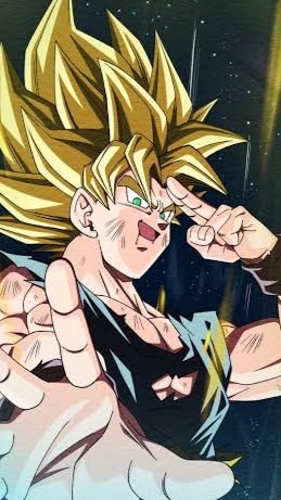 ドラゴンボールなりきりオプ