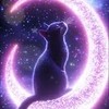 歌雑オプ