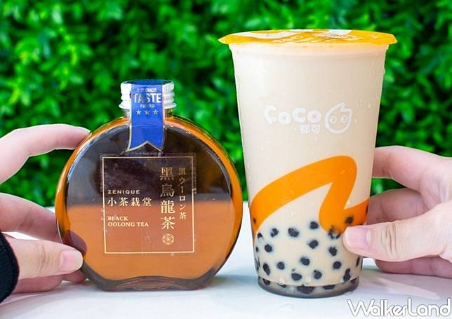Coco小圓瓶免費喝 Coco聯名推出 小茶栽堂黑烏龍茶 限定瓶 一日限定 買珍奶送黑烏龍茶 買一送一優惠要先搶 Walkerland 窩客島