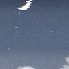 ぼくのかみさま︰２４３４限定ハント
