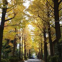 武蔵野大学看護学部卒業生　保健師つながろうの会