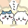 スタンプ会話しませんかー？