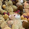 jellyの自印拼團