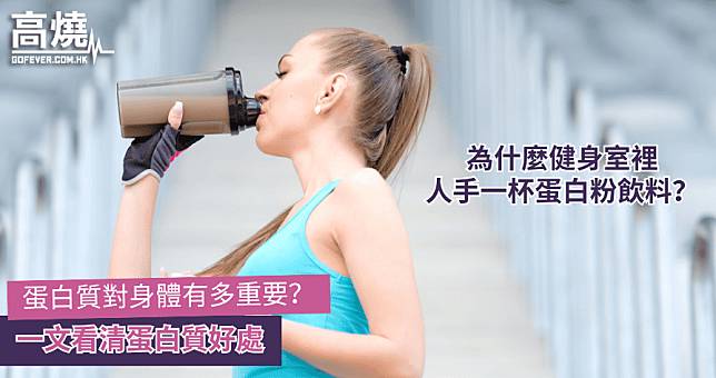 【蛋白質】為什麼健身室裡人手一杯蛋白粉飲料？蛋白質對身體有多重要？