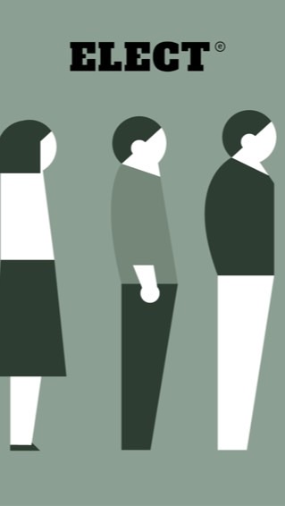 แมวเลือกตั้ง