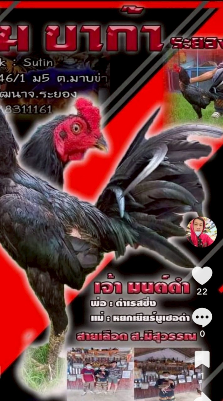 ซุ้ม บาก้า ฟาร์ม_TH ( Barka )