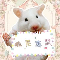 🐹非尼莫鼠❤️預購群