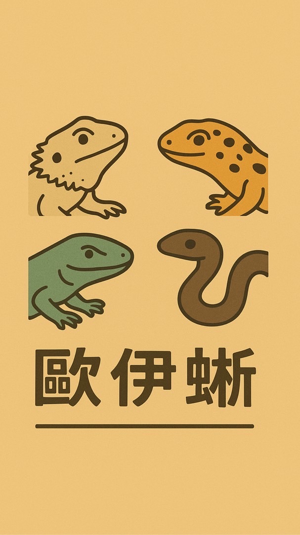 歐伊蜥  爬蟲＆餌料工作室