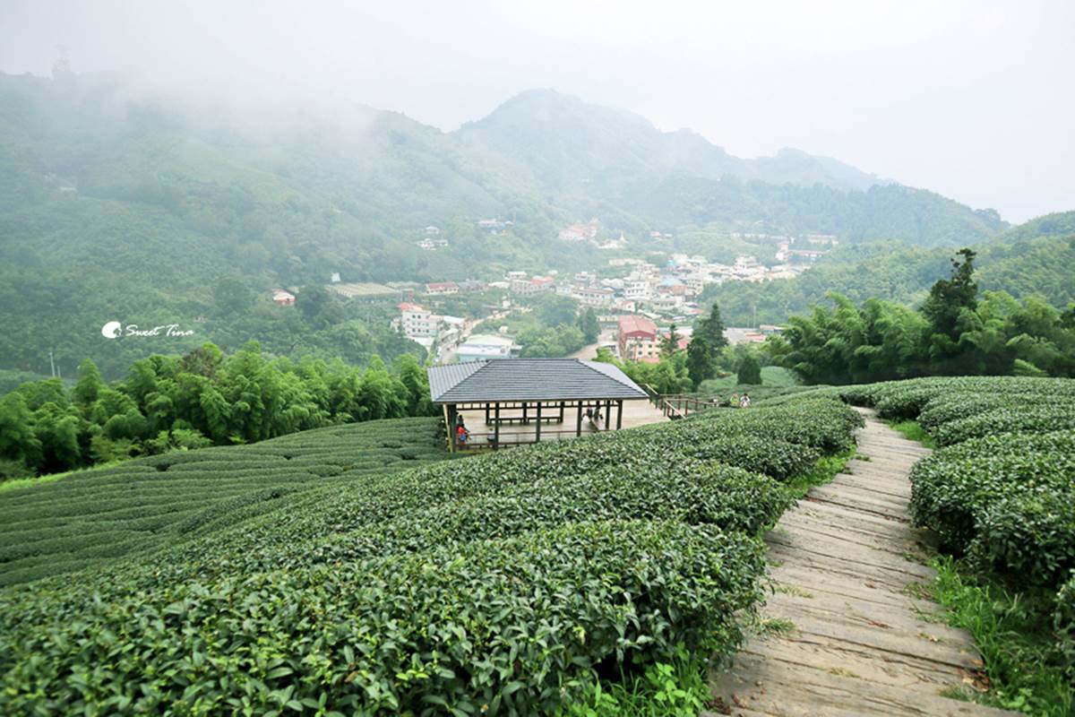 別只去阿里山！嘉義梅山12大祕境：最美茶園步道、台版九寨溝、海拔最高吊橋
