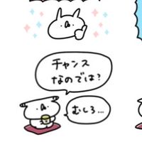 うさぎ帝国スタンプ