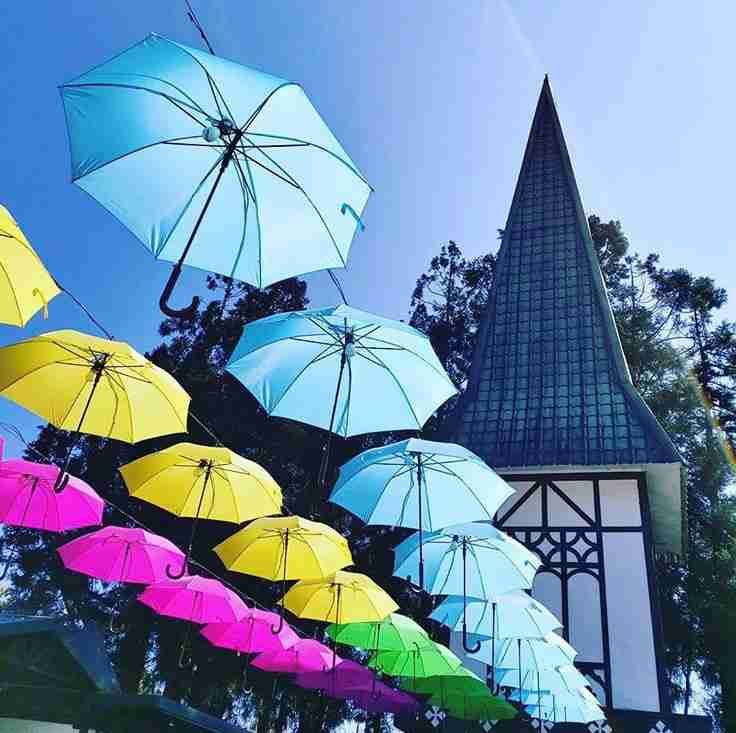 清境一日遊 清境一日遊｜【南投仁愛】清境農場路線、景點、美食全攻略｜親子出遊、情侶約會 10 2022