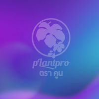 มหัศจรรย์ตราคูน มหัศจรรย์จางเจียเจี้ย