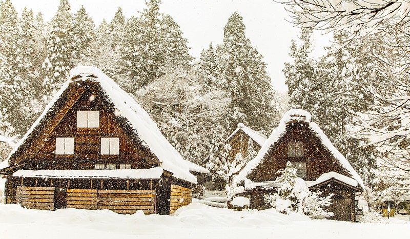 20160120-20160120-IMG_9699