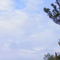 115/1/15~1/16興安本土計畫交流學生社群
