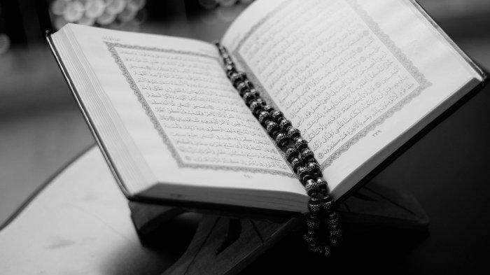 Download 85+ Contoh Surat Al Mulk Kemenag Terbaru Gratis