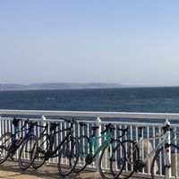 学習院大学自転車同好会2024新歓