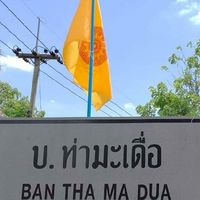 บ้านท่ามะเดื่อ หมู่ 7 หมู่ 8 ต.ท่ากระเสริม