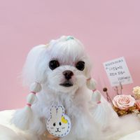 汪咪博士寵物健康交流群