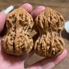 🌿文玩互語🌿