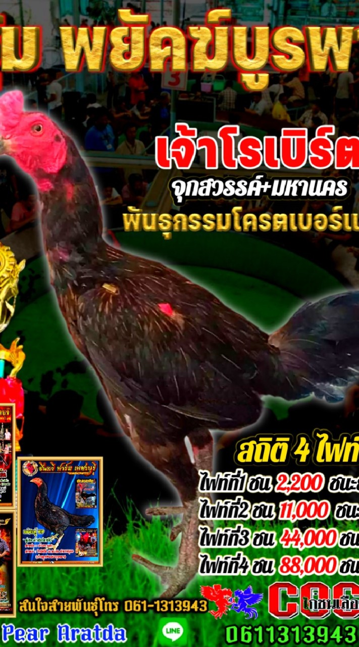 ซุ้มพยัคฆ์บูรพา