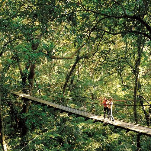 6.森林園區入園 8:00~17:00；露天溫泉SPA 8:00~23:00。7.露天溫泉SPA區個人需著泳衣及泳帽入場，並請自備浴巾/毛巾，或向渡假村溫泉櫃檯洽購。8.請勿攜帶寵物。9.本券恕無法與