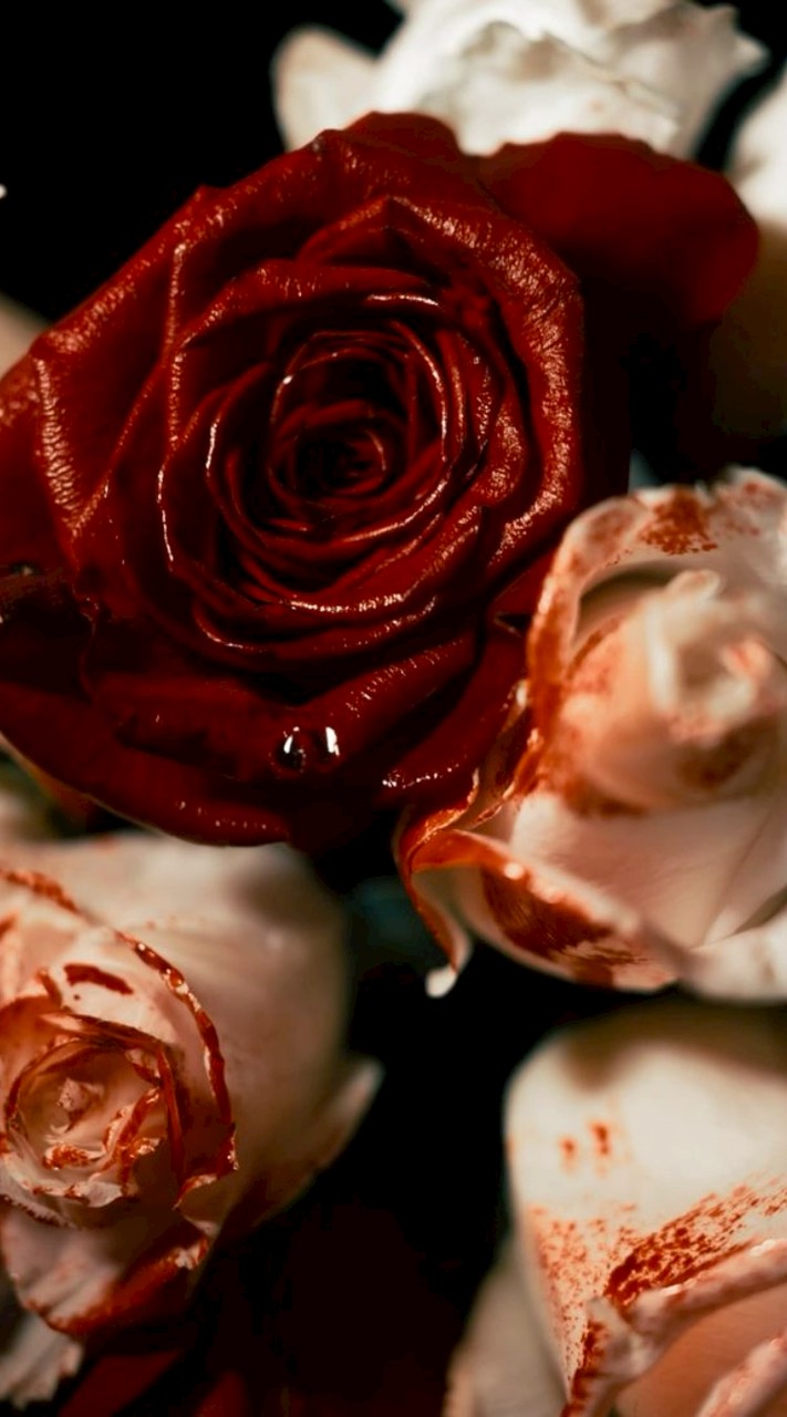 Role play & โรลเพลย์ ยันเดเระ