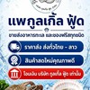 แพกูลเกิ้ล ฟู้ด ขายส่งอาหารทะเล