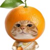 กดของ TikTok/Laz by meowsom 🐈🐈