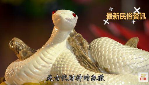 廟裡竟有上百條蛇 特殊動物神信仰 寶島神很大 Line Today