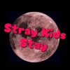 straykidsを語る会