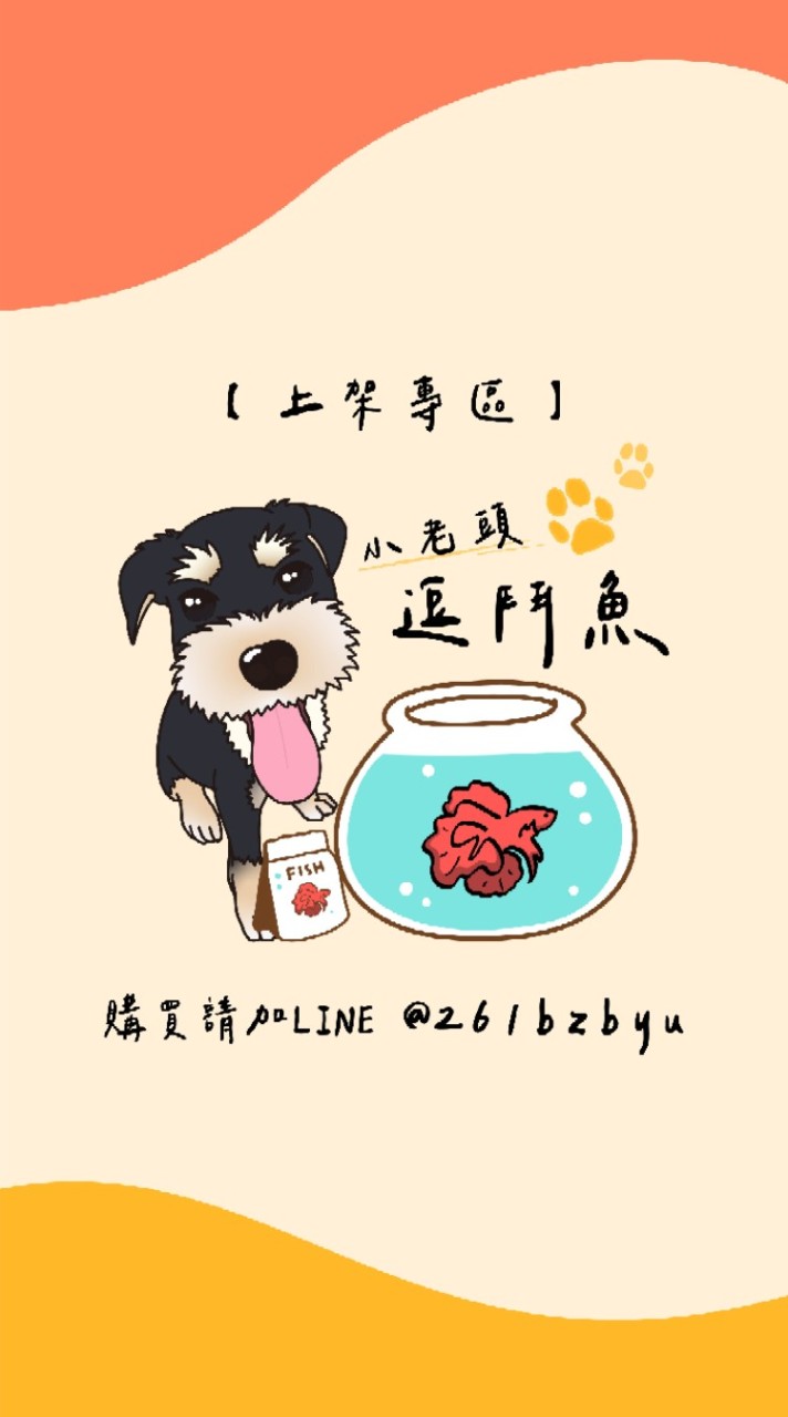 小老頭逗鬥魚▪︎上架專區▪︎