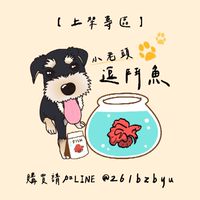 小老頭逗鬥魚▪︎上架專區▪︎